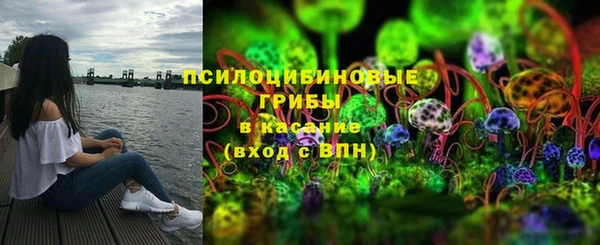 спиды Няндома