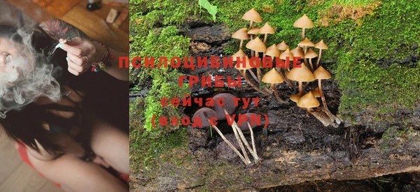 крисы Нягань