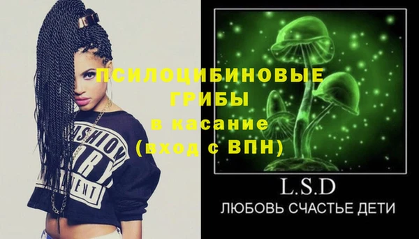 спиды Няндома