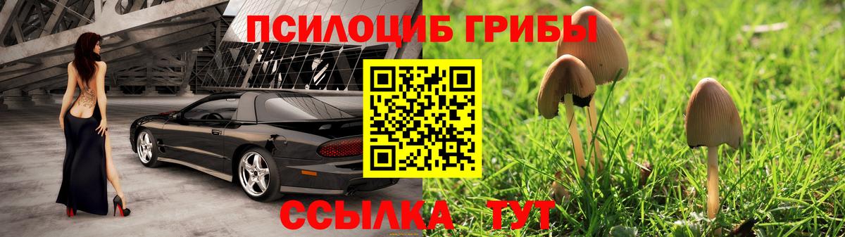 Осинники  Галлюциногенные грибы прущие грибы  Вход с VPN 